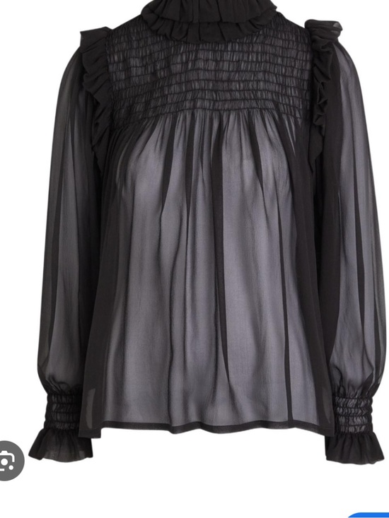 BCBG Tops - BCBG Sheer Black Ruffle-Trim High Neck Blouse